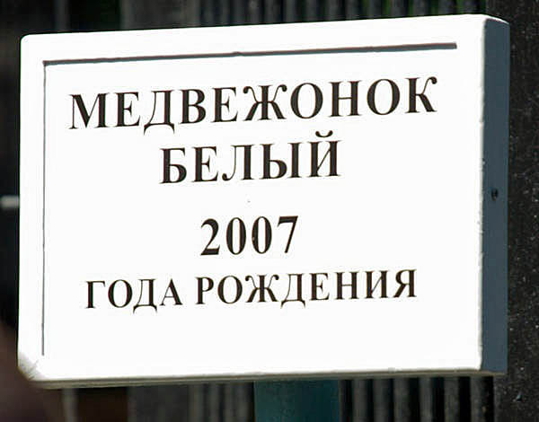a0151913_2471719.jpg
