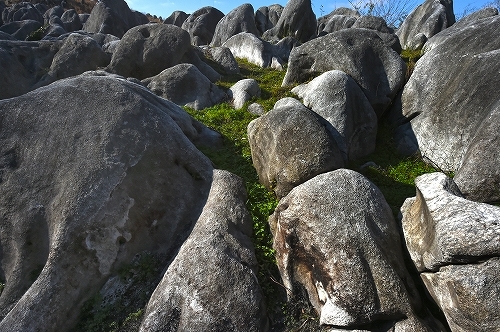 c0168815_22152076.jpg