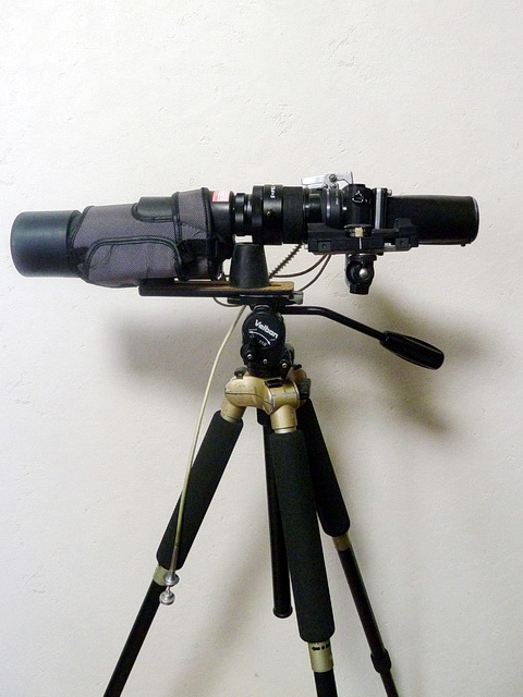 f0051915_1951188.jpg