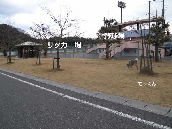 f0143123_19585888.jpg