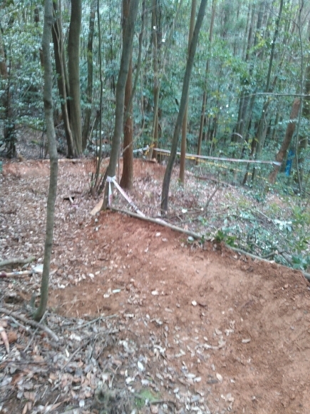 a0085632_23320921.jpg