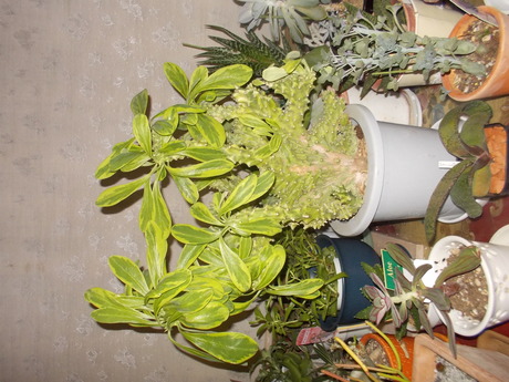 f0113136_2252132.jpg