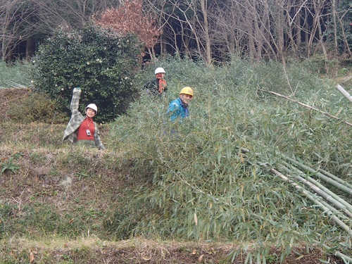 f0187336_1429097.jpg