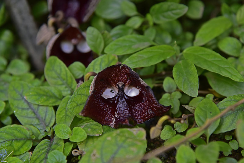 b0042837_427252.jpg