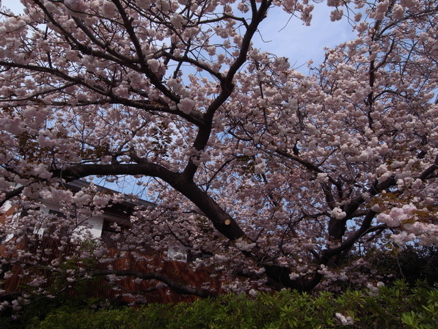 b0075140_0435310.jpg