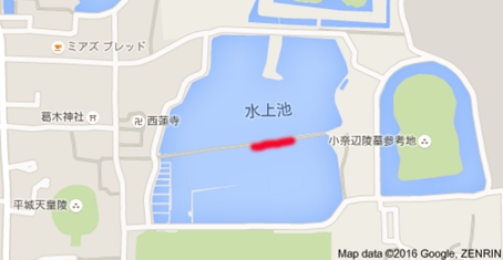 a0100742_11483491.png
