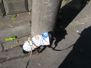 e0150843_014870.jpg
