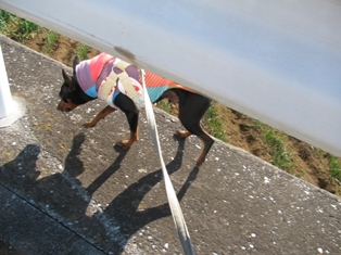 e0150843_023371.jpg