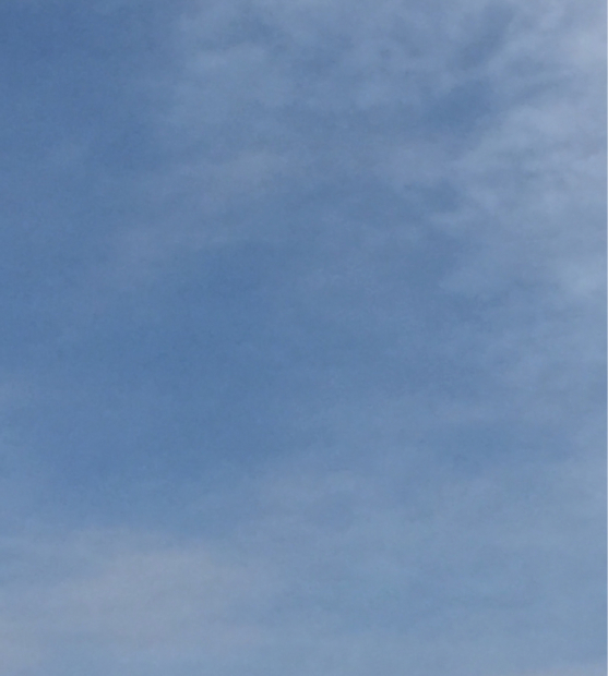 c0368246_10524929.jpg