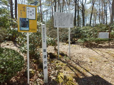 b0126549_1325326.jpg