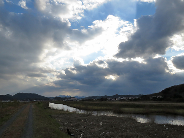 f0214649_127658.jpg