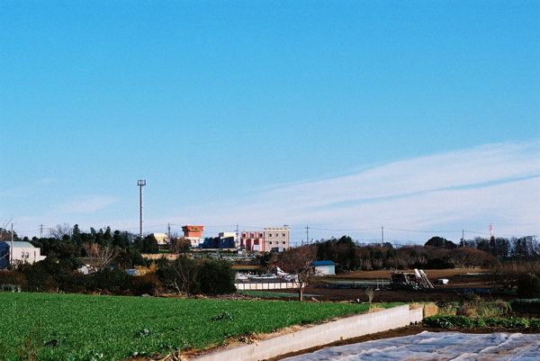 e0060651_0315894.jpg