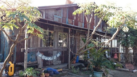 e0201354_18425649.jpg