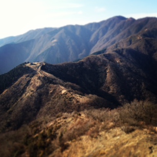 b0083855_0392223.jpg