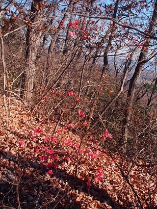 b0335256_21421035.jpg