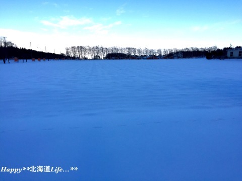 a0337860_21554623.jpeg