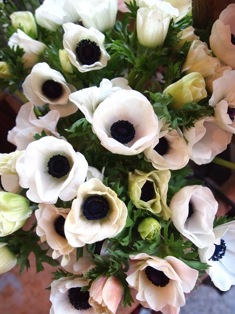 c0059063_1723060.jpg