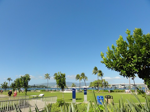 d0029363_795013.jpg