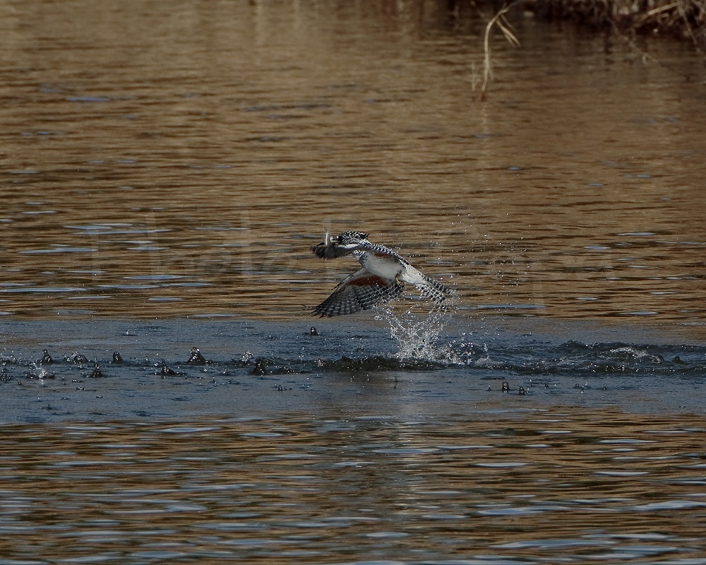 a0330864_21072056.jpg