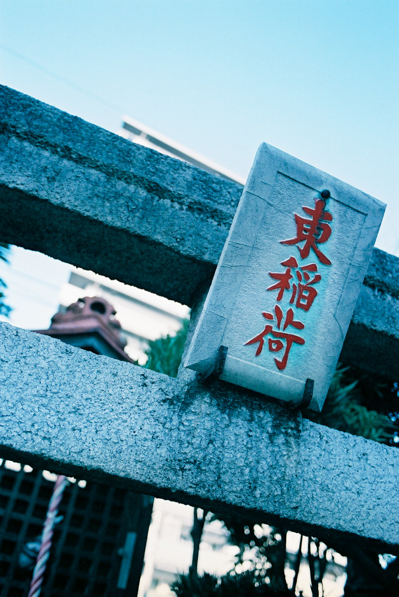 c0084666_17221528.jpg