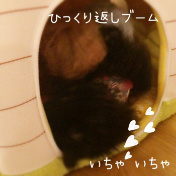 f0322570_18510497.jpg