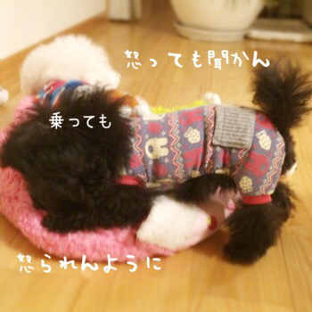 f0322570_22014743.jpg