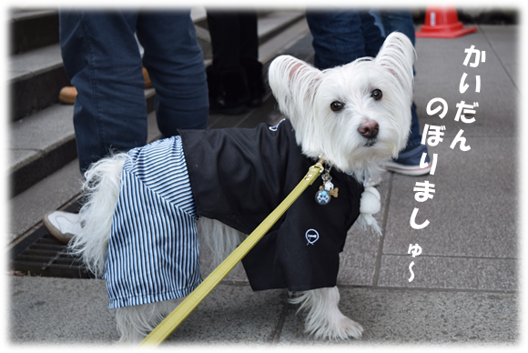 b0242873_02095030.png
