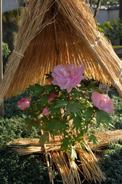 c0210275_00502543.jpg