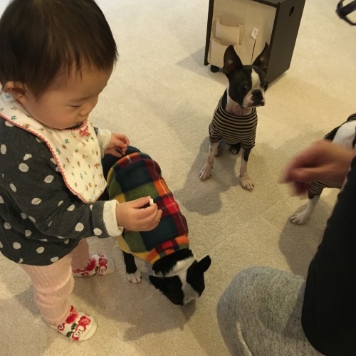 d0041575_22160641.jpeg