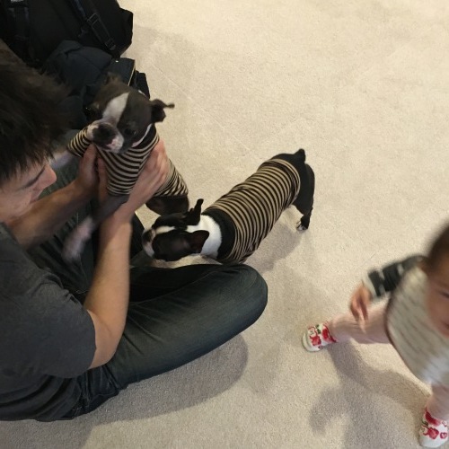 d0041575_22190203.jpeg