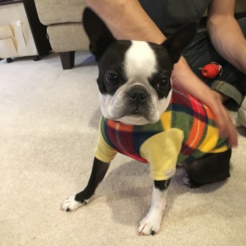 d0041575_22201636.jpeg