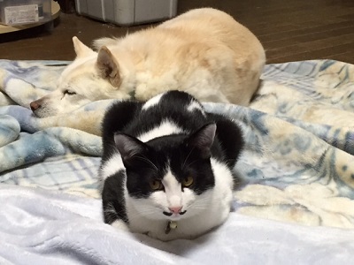 f0005081_21515998.jpg