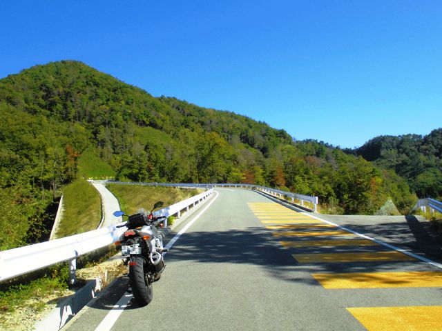 d0155582_22572495.jpg