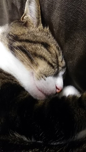 c0145183_9311148.jpg