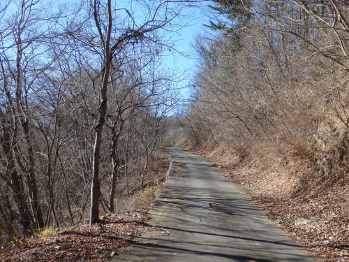 b0334084_11132118.jpg