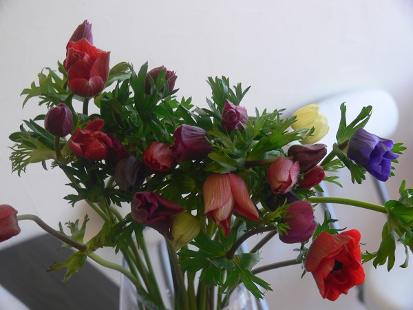 e0140986_11581150.jpg