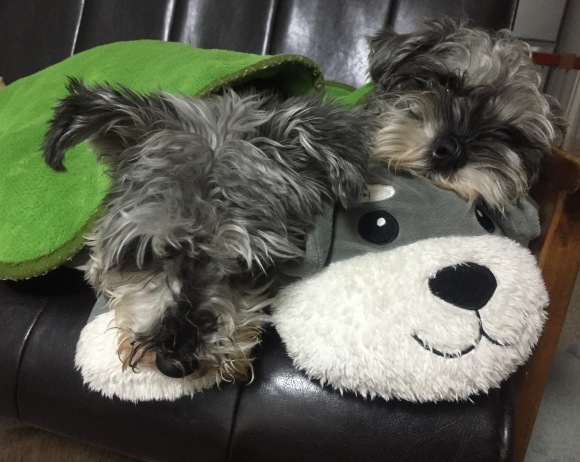 b0188998_21364408.jpeg
