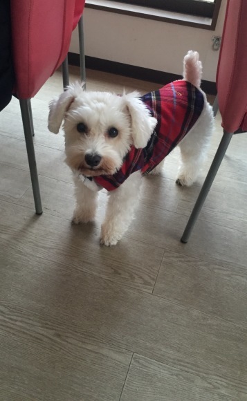 b0188998_21365603.jpeg
