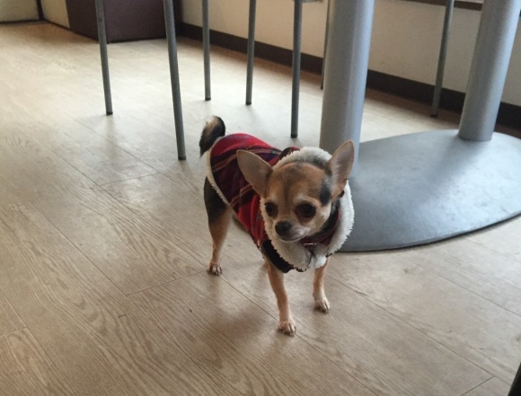 b0188998_21370590.jpeg