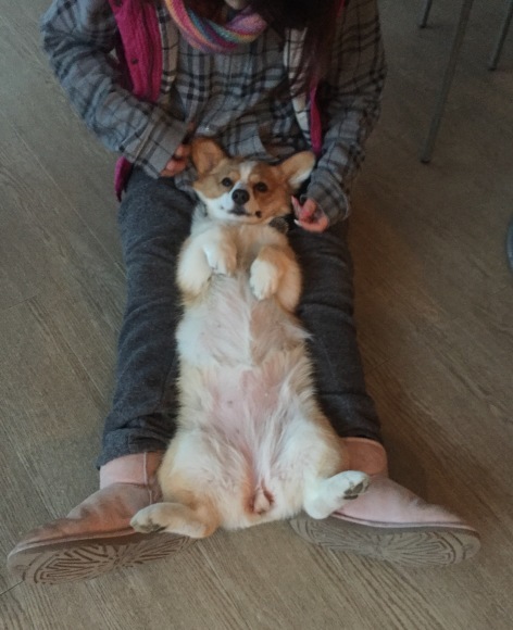 b0188998_21371622.jpeg