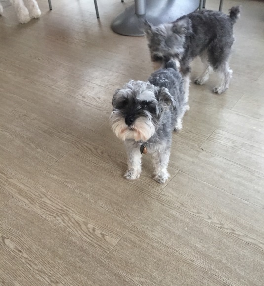 b0188998_21372622.jpeg