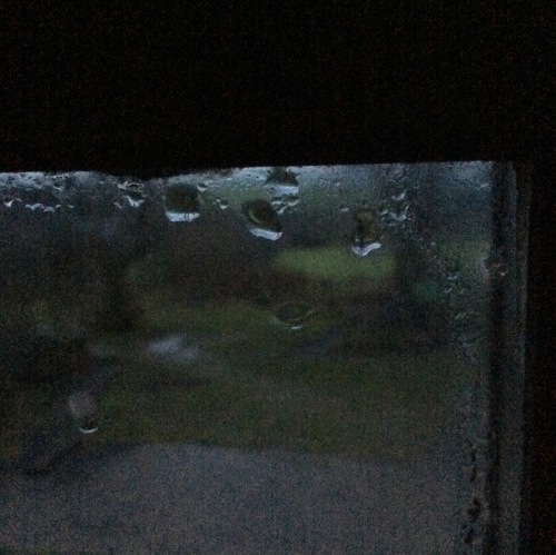 b0110999_17482069.jpeg