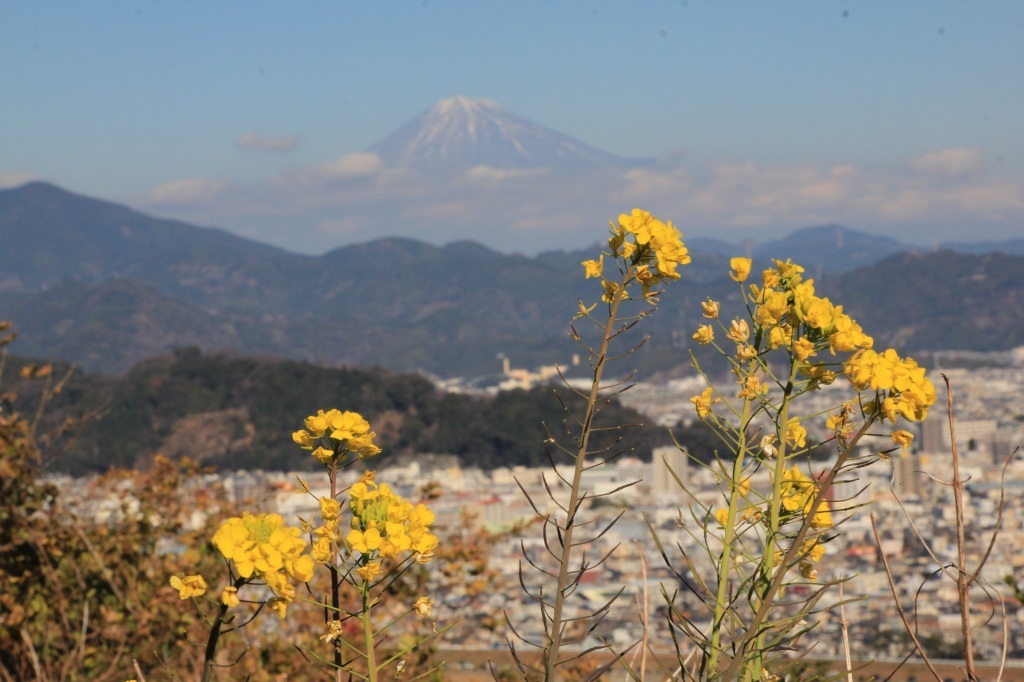 a0188405_12083036.jpg