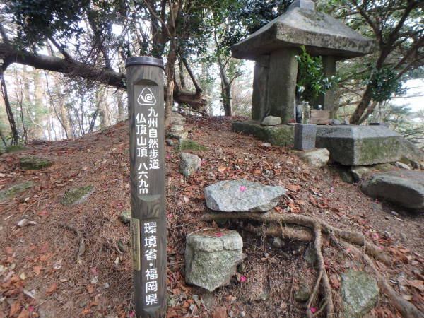 d0198313_10474219.jpg