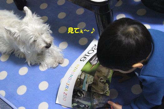 f0084422_20115039.jpg