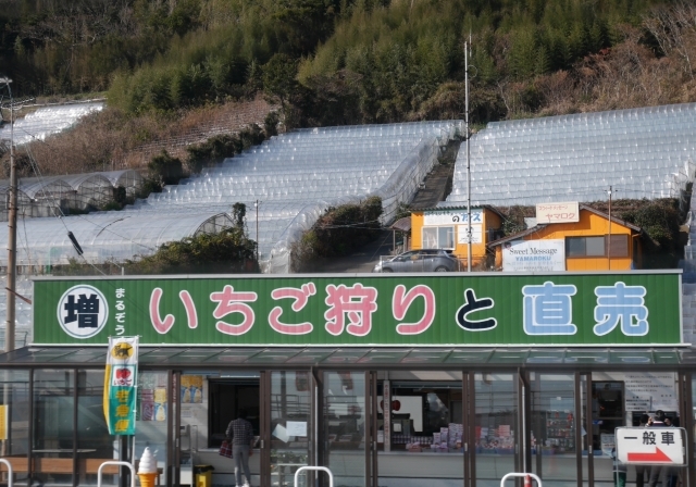 f0231829_23573498.jpg