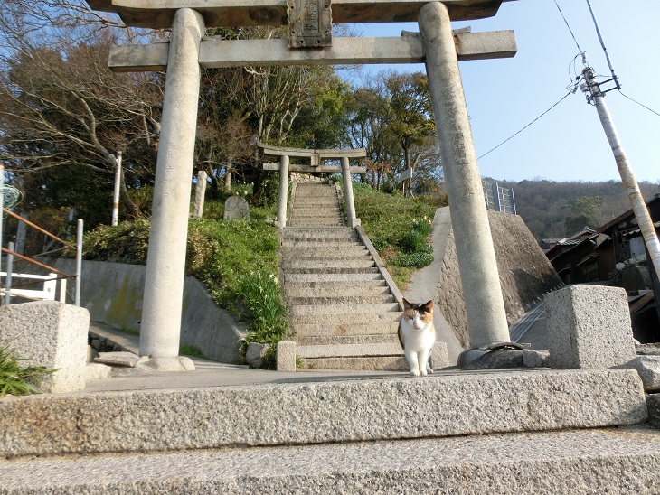 a0237349_1662949.jpg