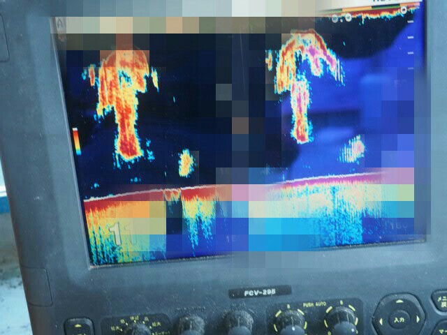 a0248152_1814557.jpg