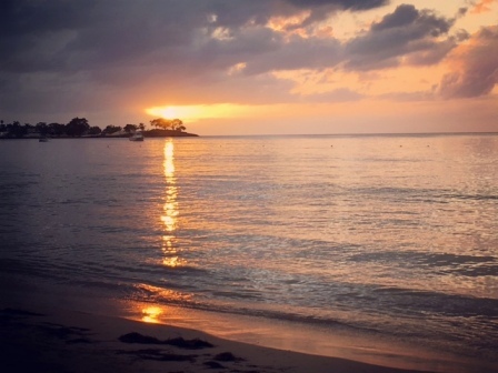 b0173754_15453990.jpg