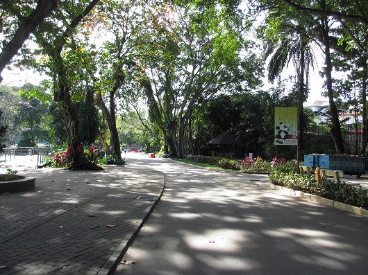 b0145863_20233823.jpg